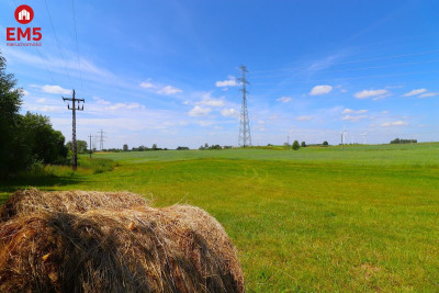 Działka w Turówce Nowej - Turówka Nowa  -
PODLASKIE Zdjęcie nr 5