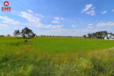 Tutaj zbudujesz swój dom - Turówka Nowa  -
PODLASKIE Zdjęcie nr 3