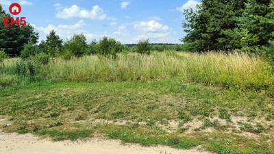 Działka rolno-budowlana 05 ha Jurowce - Jurowce  -
PODLASKIE Zdjęcie nr 6