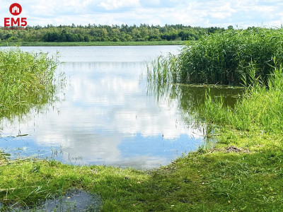 Piękne działki na Mazurach - Boguszewo  -
WARMIŃSKO-MAZURSKIE Zdjęcie nr 3