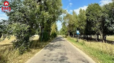 Działka budowlana inwestycyjna 164 ha Rafałówka - Rafałówka  -
PODLASKIE Zdjęcie nr 2