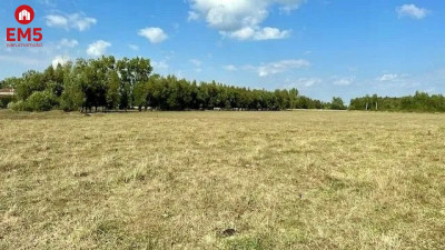 Działka budowlana inwestycyjna 164 ha Rafałówka - Rafałówka  -
PODLASKIE Zdjęcie nr 4
