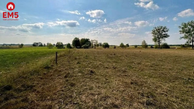 Działka budowlana inwestycyjna 164 ha Rafałówka - Rafałówka  -
PODLASKIE Zdjęcie nr 5