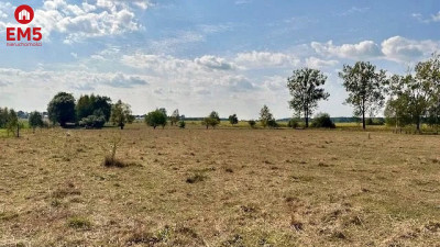 Działka budowlana inwestycyjna 164 ha Rafałówka - Rafałówka  -
PODLASKIE Zdjęcie nr 6