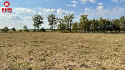 Działka budowlana inwestycyjna 164 ha Rafałówka - Rafałówka  -
PODLASKIE Zdjęcie nr 8