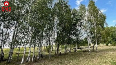 Działka budowlana 1425 m2 Rafałówka - Rafałówka  -
PODLASKIE Zdjęcie nr 7