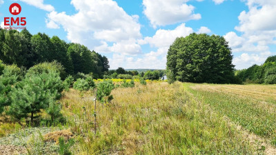 Działka budowlana 1047 m2 Wólka Poduchowna - Wólka Poduchowna  -
PODLASKIE