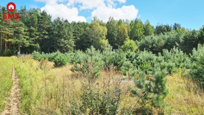 Działka budowlana 1047 m2 Wólka Poduchowna - Wólka Poduchowna  -
PODLASKIE Zdjęcie nr 2