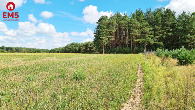 Działka budowlana 1047 m2 Wólka Poduchowna - Wólka Poduchowna  -
PODLASKIE Zdjęcie nr 3