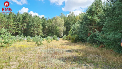 Działka budowlana 1047 m2 Wólka Poduchowna - Wólka Poduchowna  -
PODLASKIE Zdjęcie nr 5