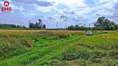 Działka rolno-budowlana 3260 m2 - Folwarki Wielkie  -
PODLASKIE Zdjęcie nr 3