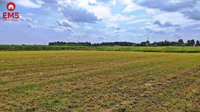 Działka rolno-budowlana 3742 m2 - Folwarki Wielkie  -
PODLASKIE