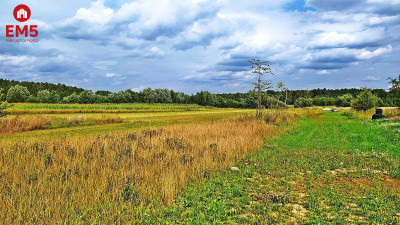 Działka rolno-budowlana 3742 m2 - Folwarki Wielkie  -
PODLASKIE Zdjęcie nr 2