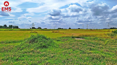 Działka rolno-budowlana 3742 m2 - Folwarki Wielkie  -
PODLASKIE Zdjęcie nr 3