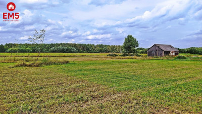 Działka rolno-budowlana 3742 m2 - Folwarki Wielkie  -
PODLASKIE Zdjęcie nr 4