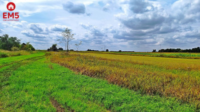 Działka rolno-budowlana 3742 m2 - Folwarki Wielkie  -
PODLASKIE Zdjęcie nr 6