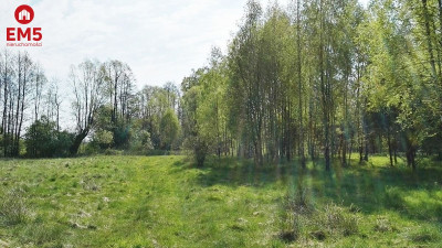 Działka siedliskowa 4923 m2 pod Białymstokiem - Łubniki  -
PODLASKIE