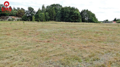 Działka zagrodowa 3000 m2 pod miastem - Podleńce  -
PODLASKIE Zdjęcie nr 12