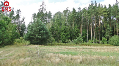 Budowlano - rolna 104 ha Pod miastem - Zalesiany  -
PODLASKIE