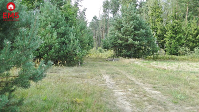 Budowlano - rolna 104 ha Pod miastem - Zalesiany  -
PODLASKIE Zdjęcie nr 2