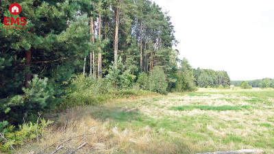 Budowlano - rolna 104 ha Pod miastem - Zalesiany  -
PODLASKIE Zdjęcie nr 3