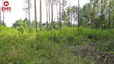 Budowlano - rolna 104 ha Pod miastem - Zalesiany  -
PODLASKIE Zdjęcie nr 4