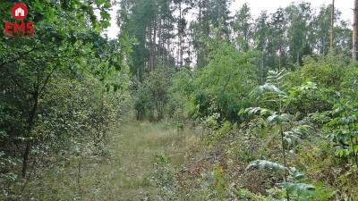 Budowlano - rolna 104 ha Pod miastem - Zalesiany  -
PODLASKIE Zdjęcie nr 5