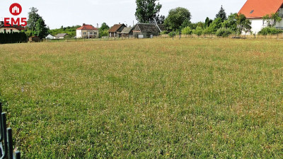 Działka rolno-budowlana 4000 m2 Letniki - Letniki  -
PODLASKIE Zdjęcie nr 2