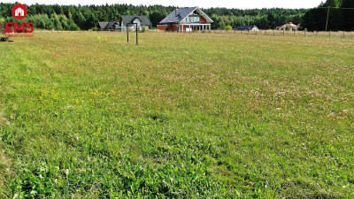 Działka rolno-budowlana 4000 m2 Letniki - Letniki  -
PODLASKIE Zdjęcie nr 5