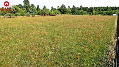 Działka rolno-budowlana 4000 m2 Letniki - Letniki  -
PODLASKIE Zdjęcie nr 6