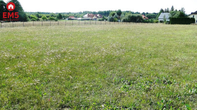 Działka rolno-budowlana 4000 m2 Letniki - Letniki  -
PODLASKIE Zdjęcie nr 8