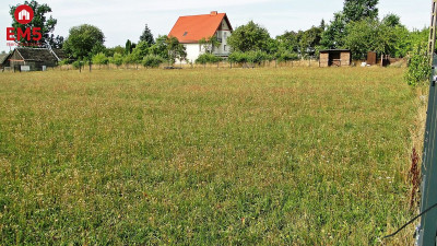 Działka rolno-budowlana 4000 m2 Letniki - Letniki  -
PODLASKIE Zdjęcie nr 9