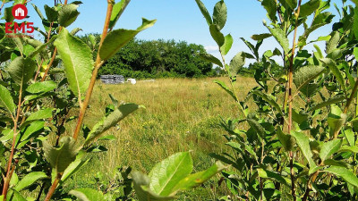 Działka  budowlana w Henrykowie - Białystok  -
Podlaskie Zdjęcie nr 2