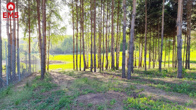 Działka budowlana 2181 m2 Krynice - Krynice  -
PODLASKIE Zdjęcie nr 2