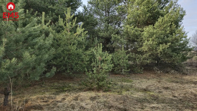 Działka inwestycyjna-Nowa Łuka  - Nowa Łuka  -
PODLASKIE Zdjęcie nr 2