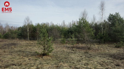Działka inwestycyjna-Nowa Łuka  - Nowa Łuka  -
PODLASKIE Zdjęcie nr 5