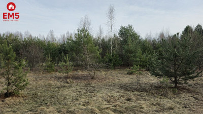 Działka inwestycyjna-Nowa Łuka  - Nowa Łuka  -
PODLASKIE Zdjęcie nr 6