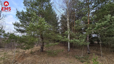 Działka inwestycyjna-Nowa Łuka  - Nowa Łuka  -
PODLASKIE Zdjęcie nr 7