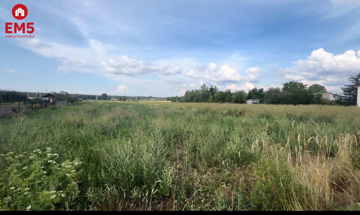 Knyszyn 6077m2 z potencjałem - Knyszyn  -
PODLASKIE Zdjęcie nr 1