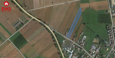 Knyszyn 6077m2 z potencjałem - Knyszyn  -
PODLASKIE Zdjęcie nr 4