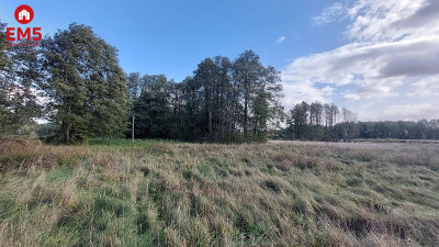 Działka inwestycyjna Zaścianki - Zaścianki  -
PODLASKIE Zdjęcie nr 3