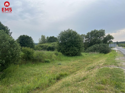 Królowy Most 2920m2 inwestycyjna - Królowy Most  -
Podlaskie Zdjęcie nr 5