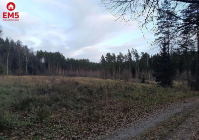 Działka rolno - budowlana 075 ha - Niewodnica Nargilewska-kolonia  -
PODLASKIE Zdjęcie nr 2