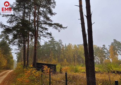 Piękna działka budowlana w otulinie lasów - Dzikie-Kolonia  -
PODLASKIE Zdjęcie nr 4