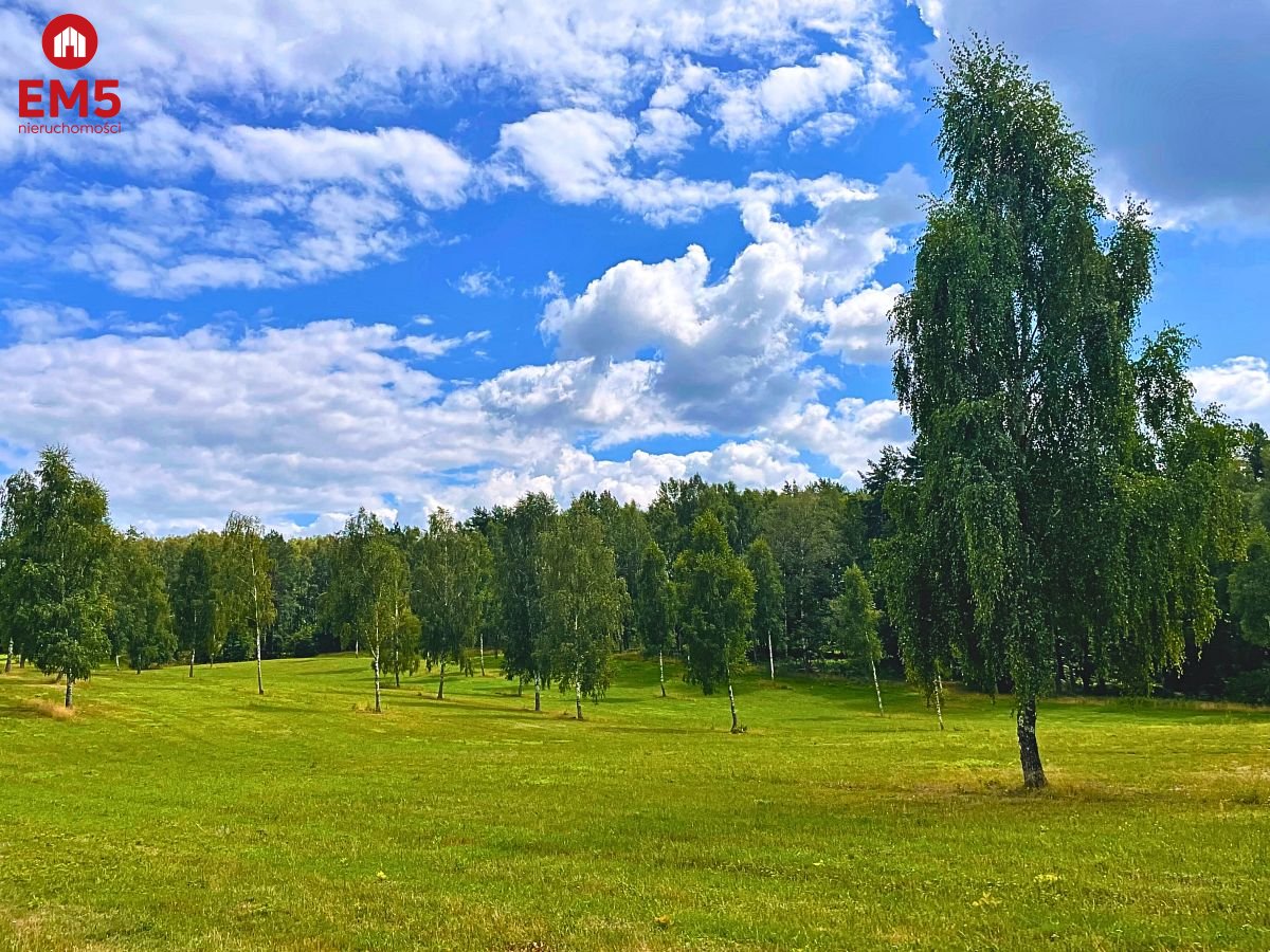 Działka budowlana blisko plaży jeziora Drwęckiego - Boguszewo  -
WARMIŃSKO-MAZURSKIE Zdjęcie nr 1