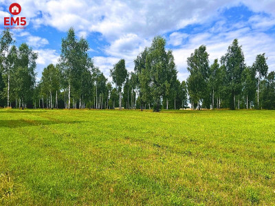 Działka budowlana blisko plaży jeziora Drwęckiego - Boguszewo  -
WARMIŃSKO-MAZURSKIE Zdjęcie nr 4