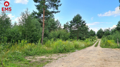 Działka budowlana 854 m2 Ciasne - Ciasne  -
PODLASKIE Zdjęcie nr 2