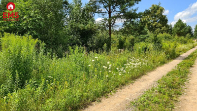 Działka budowlana 854 m2 Ciasne - Ciasne  -
PODLASKIE Zdjęcie nr 4