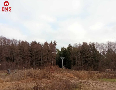 działka pod lasem blisko Białegostoku ze stawem - Ogrodniczki  -
PODLASKIE Zdjęcie nr 3