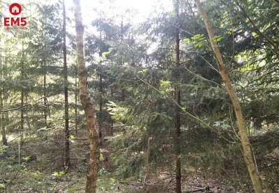 Działka idealna na domek - Jankowo-Młodzianowo  -
PODLASKIE Zdjęcie nr 3